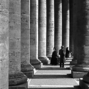 FLT-Sel Envira-Roma 03