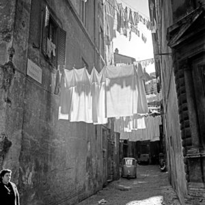 FLT-Sel Envira-Roma 16