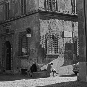 FLT-Sel Envira-Roma 17