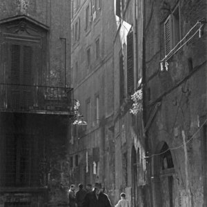 FLT-Sel Envira-Roma 19