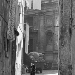 FLT-Sel Envira-Roma 18