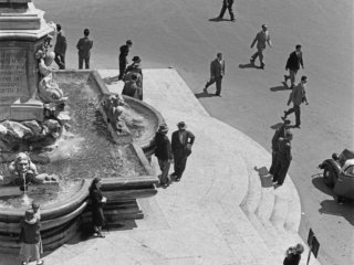 FLT-Sel Envira-Roma 07