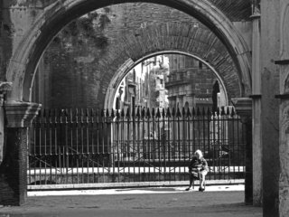 FLT-Sel Envira-Roma 09