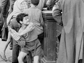 FLT-Sel Envira-Roma 01