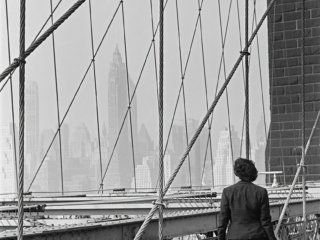 FLT-Sel_Galerie Envira-America_07