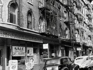 FLT-Sel_Galerie Envira-America_16