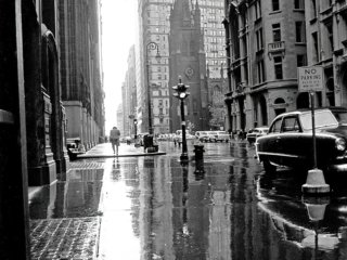 FLT-Sel_Galerie Envira-America_17