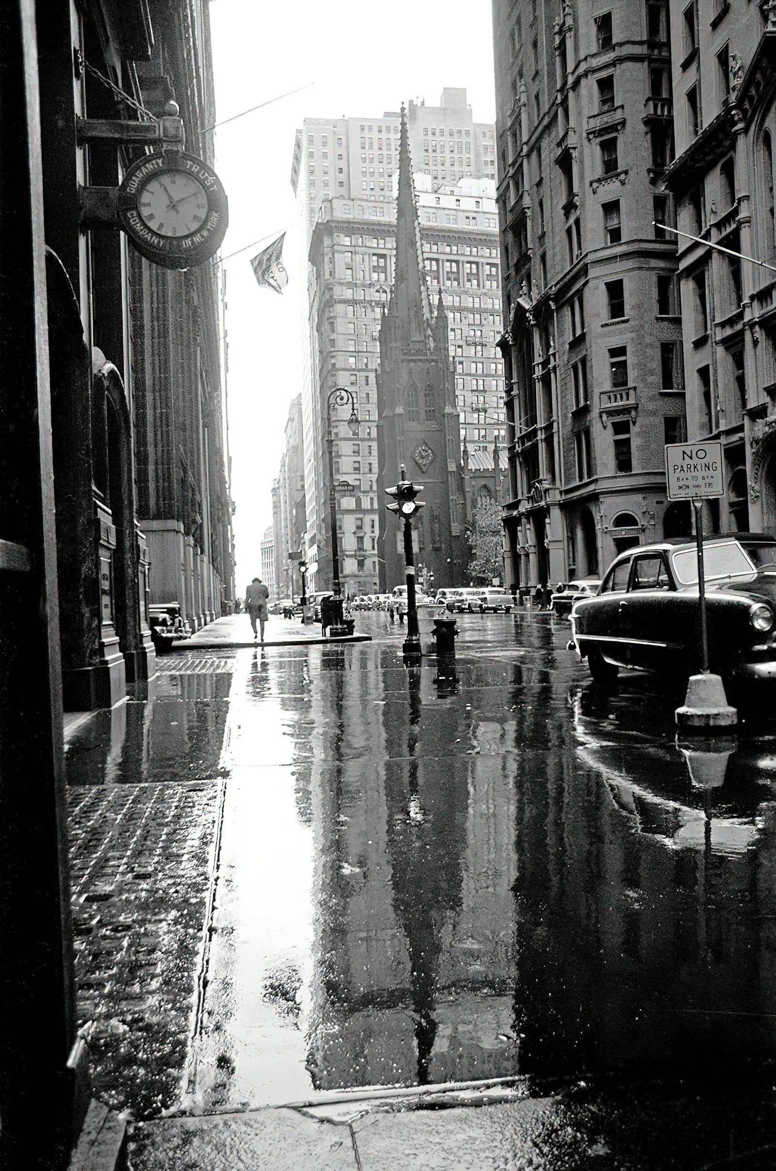 FLT-Sel_Galerie Envira-America_17