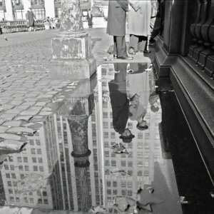 FLT-Sel_Galerie Envira-America_10