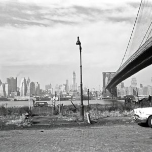 FLT-Sel_Galerie Envira-America_06