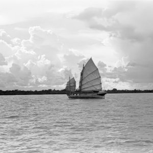 FLT - Sel Envira - Thailand 23