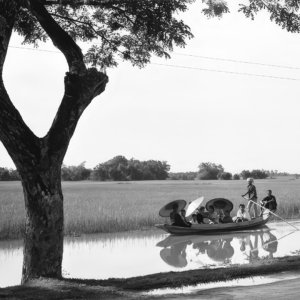 FLT - Sel Envira - Thailand 32