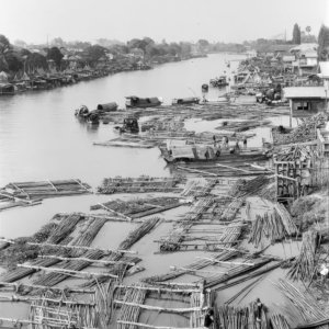 FLT - Sel Envira - Thailand 19
