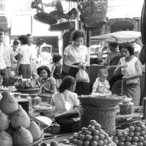 FLT - Sel Envira - Thailand 03