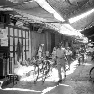 FLT - Sel Envira - Thailand 15