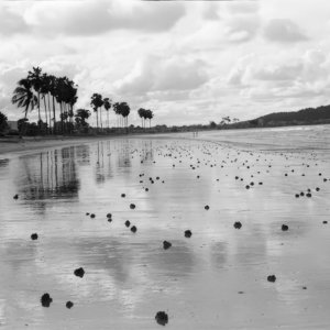 FLT - Sel Envira - Thailand 12