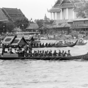 FLT - Sel Envira - Thailand 29