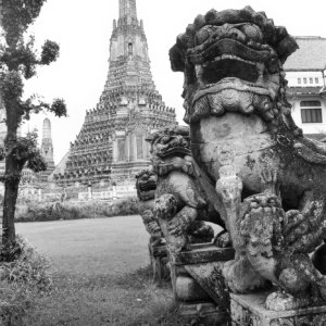 FLT - Sel Envira - Thailand 04
