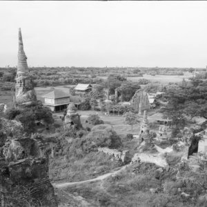 FLT - Sel Envira - Thailand 10