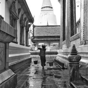 FLT - Sel Envira - Thailand 09
