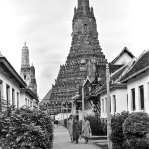 FLT - Sel Envira - Thailand 08
