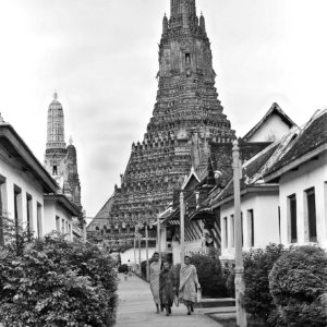 FLT - Sel Envira - Thailand 08