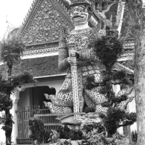 FLT - Sel Envira - Thailand 07