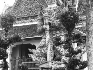 FLT - Sel Envira - Thailand 07