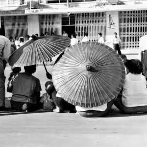 FLT - Sel Envira - Thailand 06