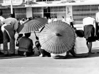 FLT - Sel Envira - Thailand 06