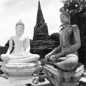 FLT - Sel Envira - Thailand 25